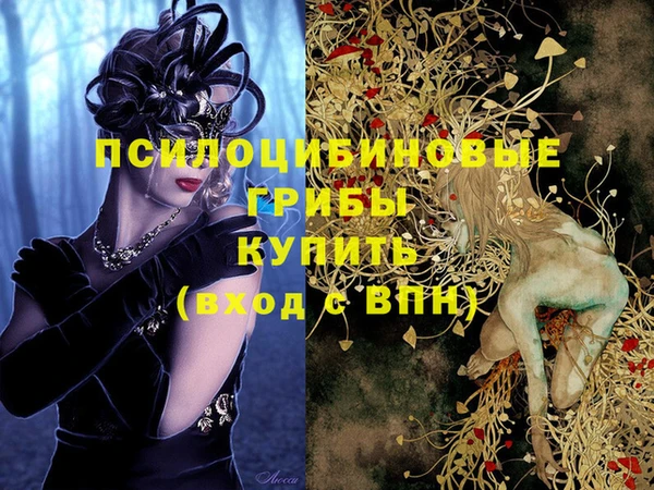 дживик Козельск